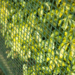 Nature Gjerdeskjerm firkantet netting 5×5 mm 1×3 m grønn