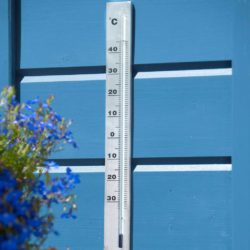 Nature Utendørs veggtermometer aluminium 3,8×0,6×37 cm