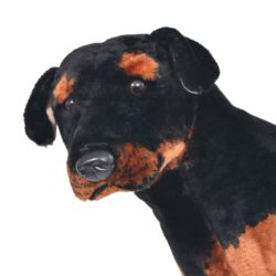 Stående lekehund rottweiler plysj svart og brun XXL