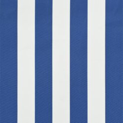 Markise 300×120 cm blå og hvit