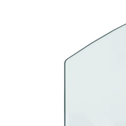 Glassplate for peis 100×50 cm