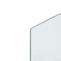 Glassplate for peis 120×50 cm