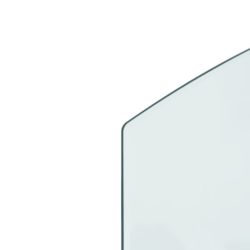 vidaXL Glassplate for peis 100×60 cm