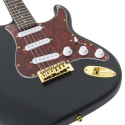 Elektrisk gitar for nybegynnere med veske svart og gull 4/4 39″