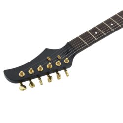Elektrisk gitar for nybegynnere med veske svart og gull 4/4 39″