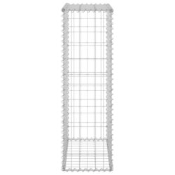 Gabion med dekker galvanisert stål 60x30x100 cm