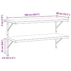 Vegghyller 2 stk 100×40 cm sølv rustfritt stål