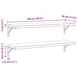 Vegghyller 2 stk 100×30 cm sølv rustfritt stål