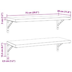 Vegghyller 2 stk 75×30 cm sølv rustfritt stål