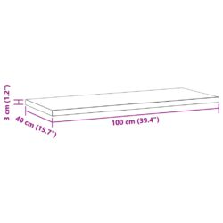 Vegghyller 2 stk 100x40x3 cm sølv rustfritt stål