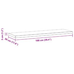 Vegghyller 2 stk 100x30x3 cm sølv rustfritt stål