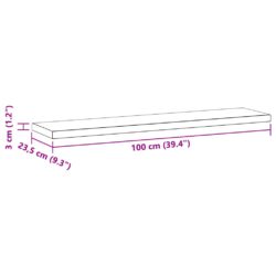 Vegghyller 2 stk 100×23,5×3 cm sølv rustfritt stål