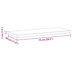 Vegghyller 2 stk 75x30x3 cm sølv rustfritt stål