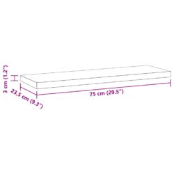 Vegghyller 2 stk 75×23,5×3 cm sølv rustfritt stål