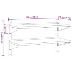 Vegghylle 2 etasjer 100x40x60 cm sølv rustfritt stål