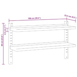 Vegghylle 2 etasjer 100×23,5×60 cm sølv rustfritt stål